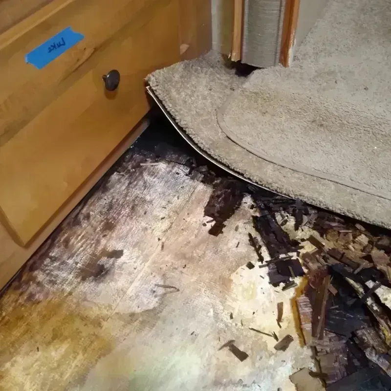 Best Wood Floor Water Damage Service in Indian Springs Village, AL